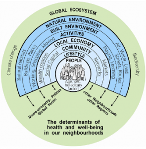 Social Determinants of Health (LGA, RSPH)